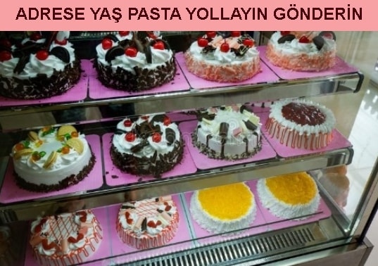 Samsun Adrese yaş pasta yolla gönder