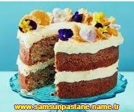samsun Atakum Pelitky Mahallesi ya pasta gnder