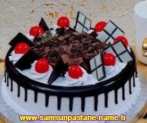 samsun Atakum Pelitköy Mahallesi yaş pasta gönder